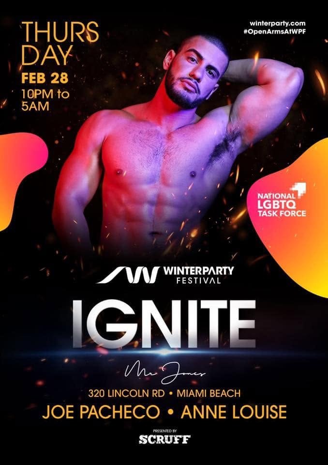 Winter Party Festival: Ignite flyer